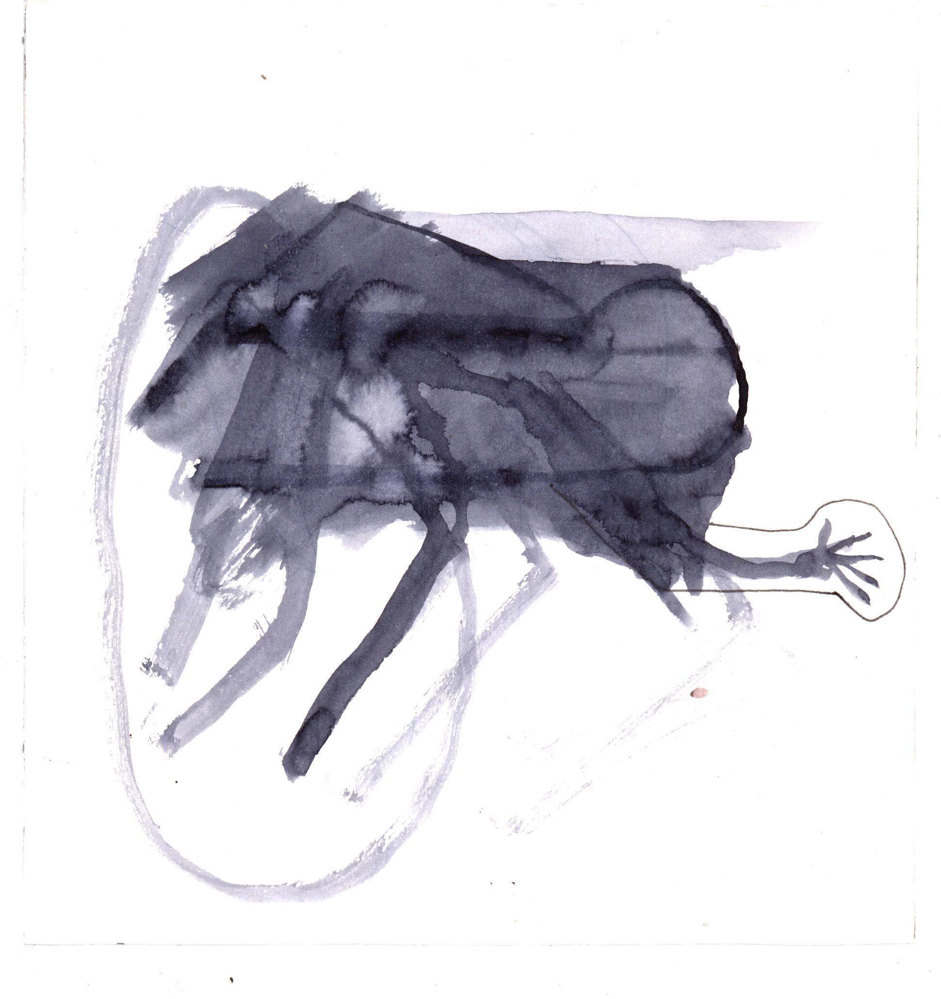 Metamorfosis